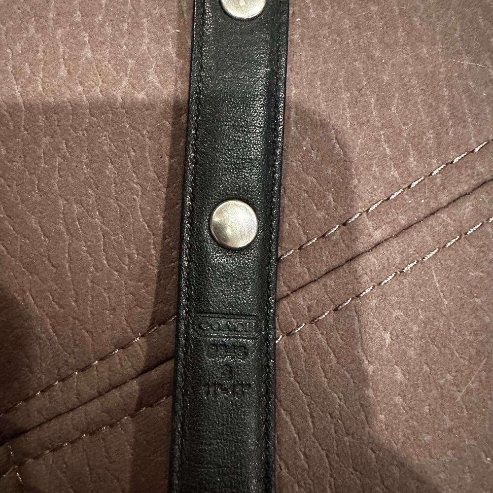 Coach collar - Picture 4 of 4